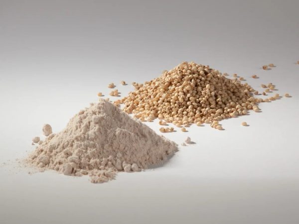 Sorghum-Grain-and-Flour-White-Background.jpg Glutensiz Sorgum Unu 1 Kg