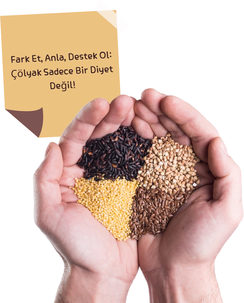 Anasayfa