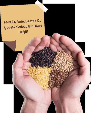 Anasayfa